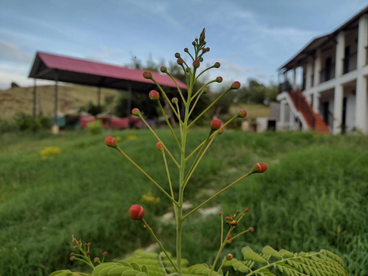 Cosmos Tatacoa Hotel Villavieja Buitenkant foto